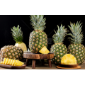 Natural Pineapple Extract