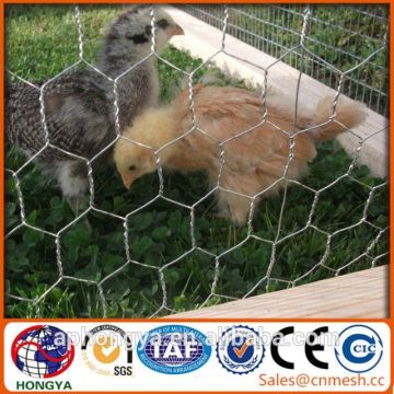 chicken coop hexagonal wire mesh,chicken wire net pool fence