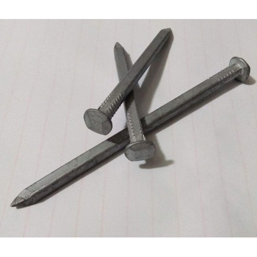 Square Cut Nails Hot-dipped Galvanized Square Nails Factory