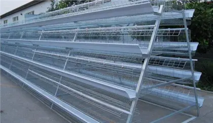Layer chicken cage for chicken farm