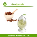 Cape Jasmine Fruit Gardenia Extract Geniposide 98% Powder