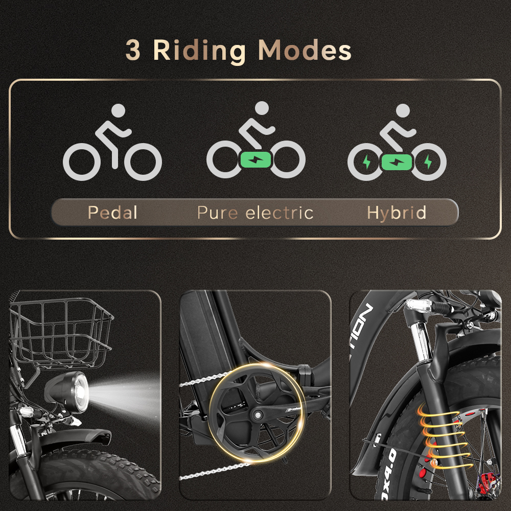 Adults Electric Bike