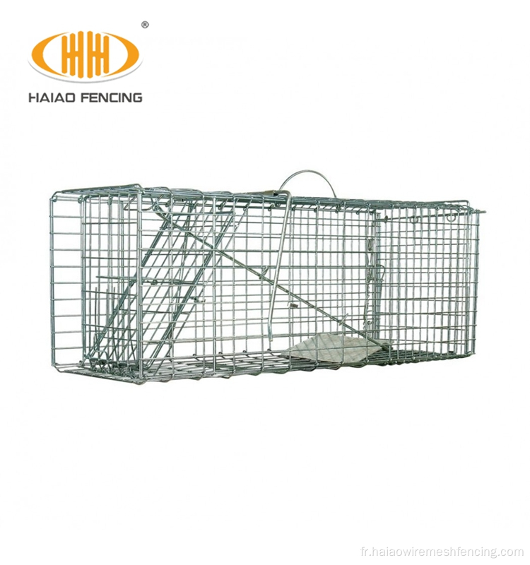 Cage de piège à chiens en acier inoxydable de haute qualité