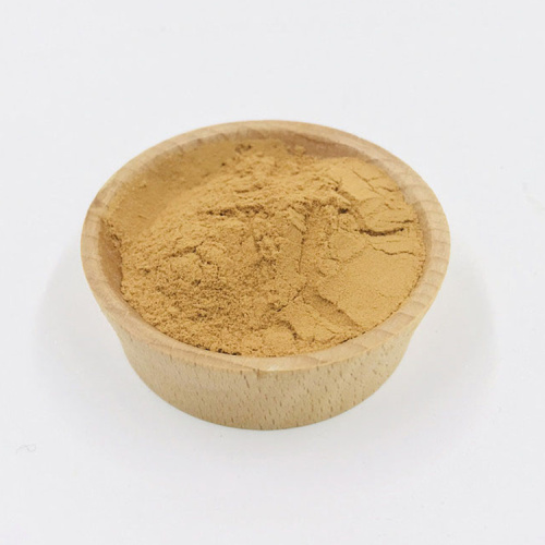 High-quality Salvia miltiorrhiza extract