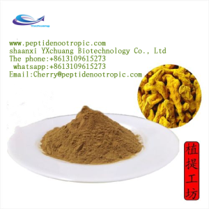 Bulk natural turmeric root extract 95 curcumin powder