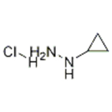 cyclopropylhydrazine hydrochloride CAS 213764-25-1