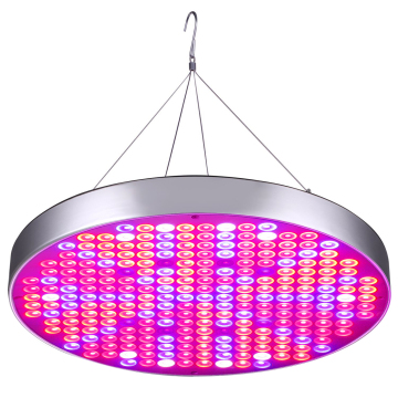 Energy-Efficient LED Strip Lights for Mushroom Greenhouse