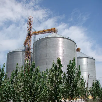 Silos in the grain and its related industries