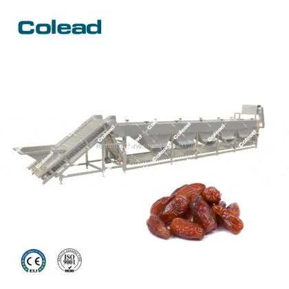 Palm dates sorting machine dates Colead