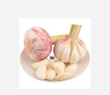 Chinese Fresh Vegetable White Garlic Wholesale Price