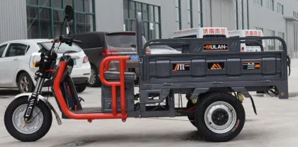60 V Motor Heavy Loading Electric Cargo Tricycle