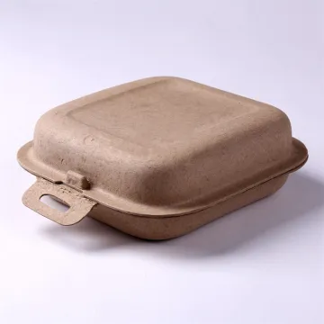 Molded Pulp Packaging Boxes for Shoes/Clothes/T-shirt