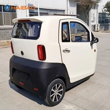 HAIBAO Brand 3 Wheeler Electric Car for Adults and Seniors