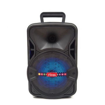 Portable Bluetooth Speakers: Amazon Echo Dot & Wireless Baffle Speakers