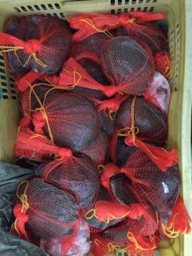 Best Selling seafood plastic extruded net