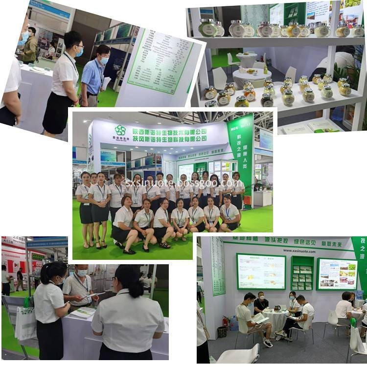 Exhibition Of Plant Extract