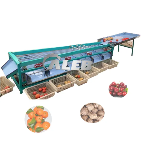 Automated Fruit Sorting and Grading Machine for Navel Oranges, Kumquats, Western Plums, Apricots, Winter Jujubes, and Dates