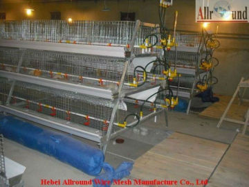 Automatic broiler cage for poultry farming cage  