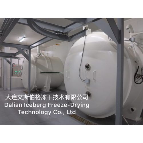 Top Industrial Freeze Dryer