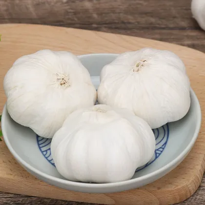 Multi specification fresh organic garlic