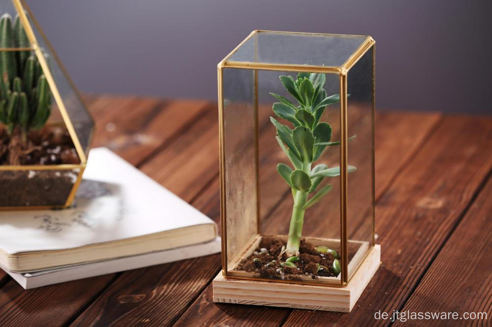 Mundgeblasene verschiedene klare Glasvase Terrarium Home