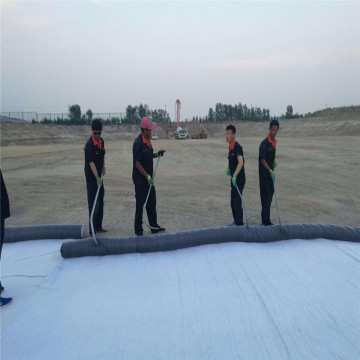 Bentonite Geosynthetics Clay Liner PE Flm GCL