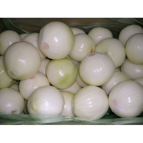 ভাল তাজা peeled পেঁয়াজ