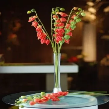 Cope Gooseberry PU Flower, Soft, Elastic and Anti-pollution