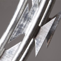/msite/products/detail/productid/57030922/id/666379.html