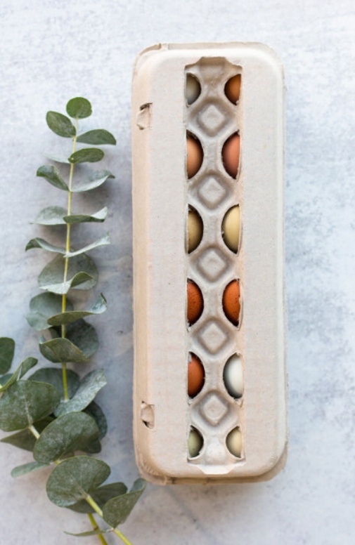 cheap egg cartons in bulk