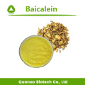 Экстракт корня Scutellaria Baicalensis Baicalein 98% Порошок