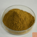 Citrus aurantium Extracto Synefrine 30%
