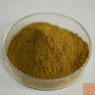 Citrus aurantium Extracto Synefrine 30%