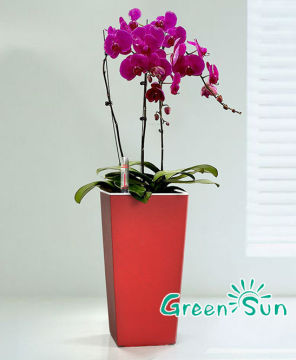 Gardening flower pot multicolour square small flower pot bonsai plastic flower pot