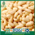 Natrual Organic Korean pine nuts cows