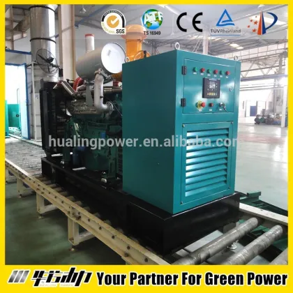 STEYR Natural Gas Generator