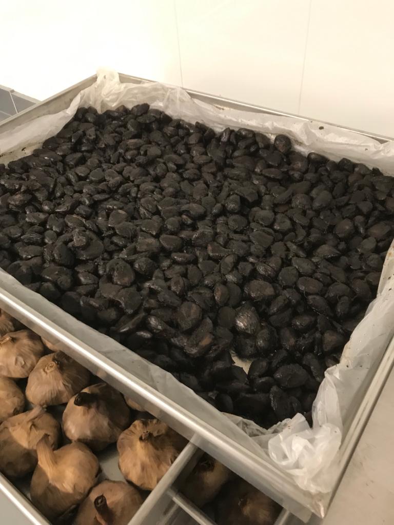 Dientes de ajo negros aplicables a la cocina