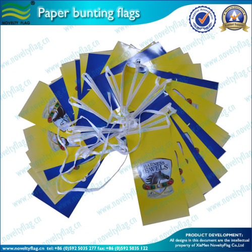 PVC Bunting Flags, Polyester String Flags, Paper Bunting and Strings (NF11P04002)
