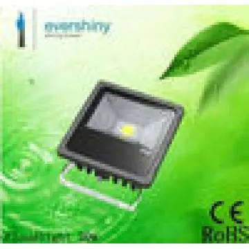 30w out door led floodlights ES-F1-30X
