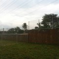 TUOFANG produce welded BRC fencing