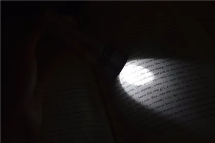 Deliver timely hot selling torch flashlight waterproof flashlight