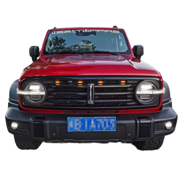 Kullanılmış 2021 off-road sürüm 2.0t Fatih Otomobil Tankı 300 Çin Aracı