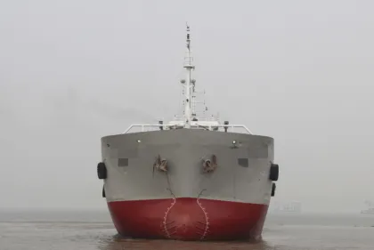 2520 DWT Container Vessel Build In 2010