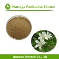 Extracto de Murraya Paniculata Polvo 100% natural 10: 1