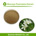 Murraya Paniculata Extrakt 100% natürliches Pulver 10:1