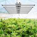 Groothandel waterdichte led-growlight 800w