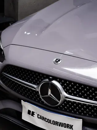 Glossy Wild Dove Grey Car Wrap