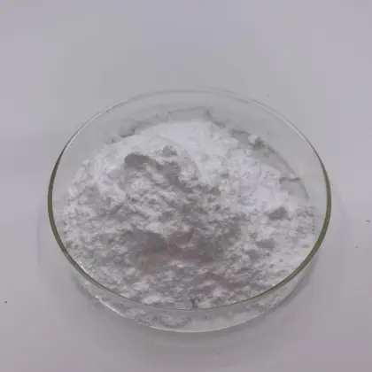 Lactococcus Lactis Probiotics Lactococcus Lactis