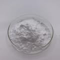 Lactococcus Lactis Probiotics Lactococcus Lactis