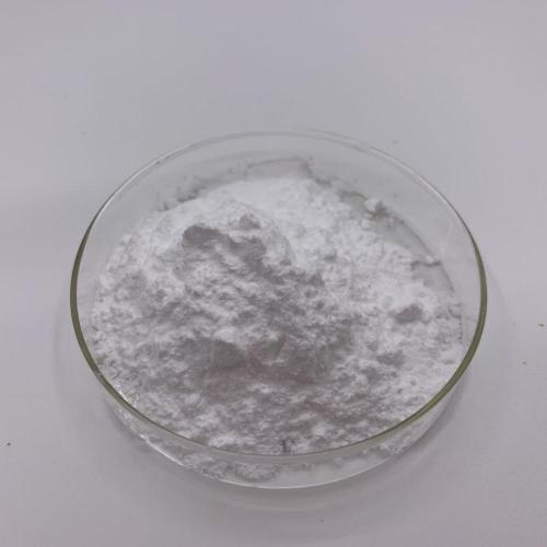 Lactococcus Lactis Probiotics Lactococcus Lactis